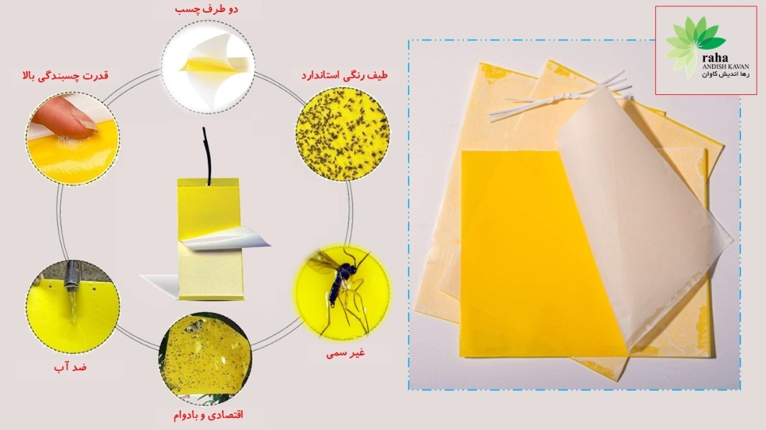 چسب کارت زرد حشرات