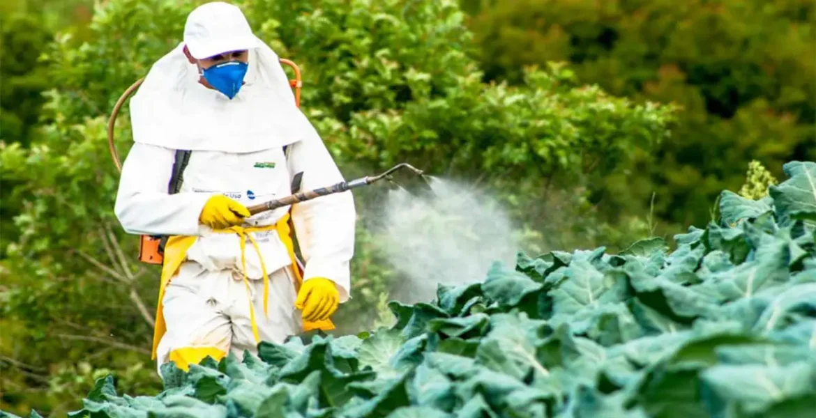 Spraying Garden Service 1110x630 1 prowebtools 3