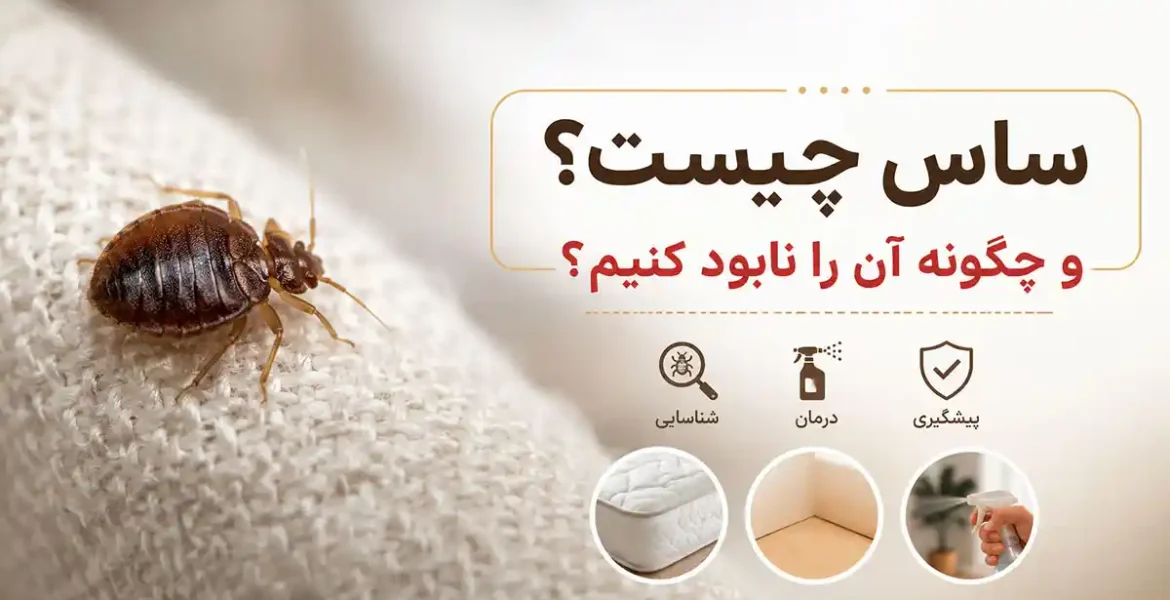 نابودی ساس