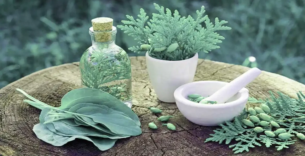 فواید گیاهان دارویی