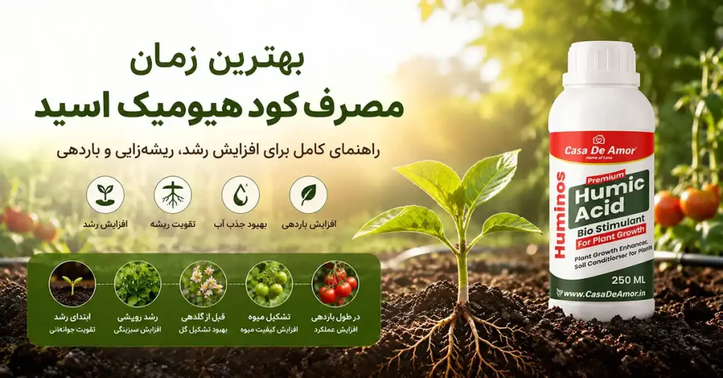 بهترین زمان مصرف کود هیومیک اسید